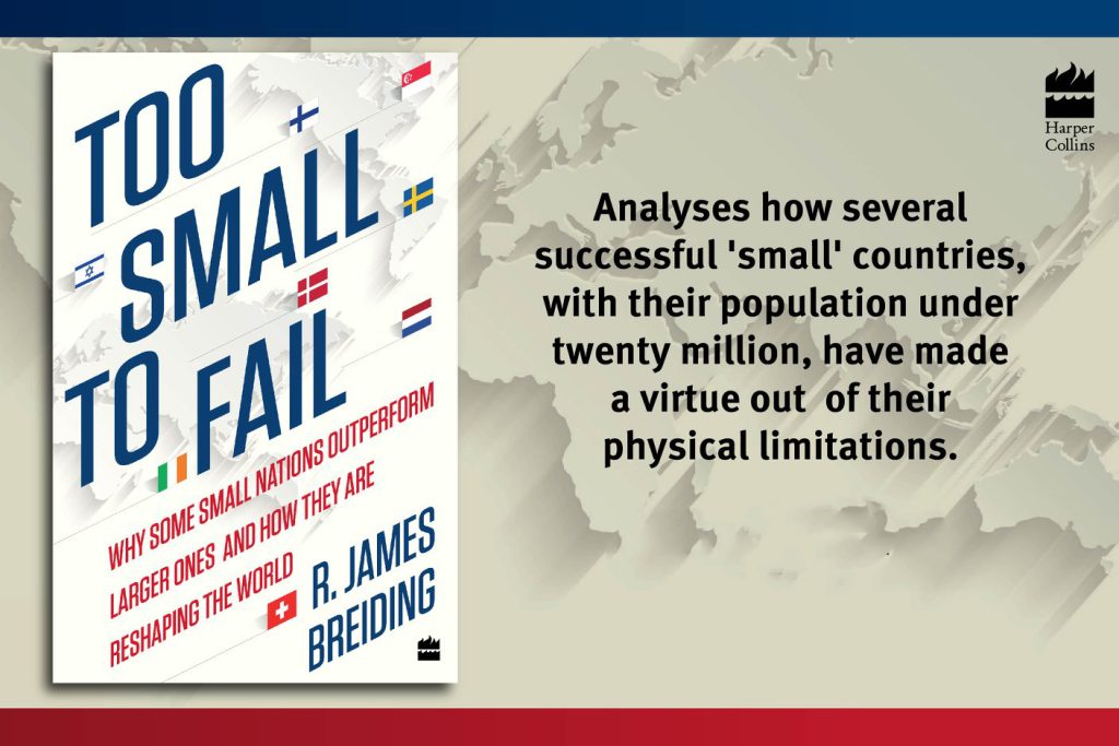 Too Small to Fail